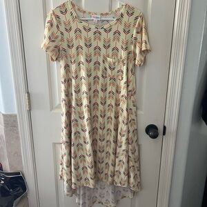 Lularoe Carly dress.